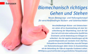 Read more about the article Die Füße sind das Fundament des menschlichen Körpers